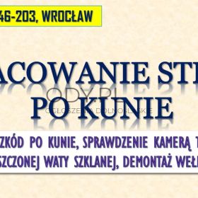 Szacowanie szkód po kunie, tel. 504-746-203, Wrocław. Wycena szkody, wełna