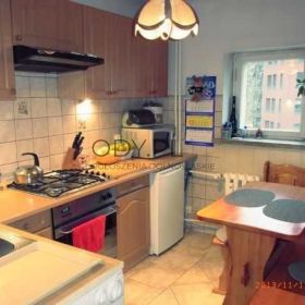 2pok, 42met, Okolice Szczepińskiej WINDA/CENTRUM (Wrocław)
