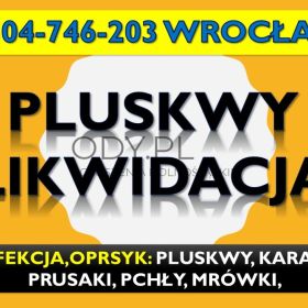 Odpluskwianie mieszkań Wrocław, t. 504-746-203. Opryski i dezynfekcja pluskiew