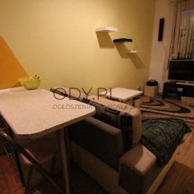  2pok, 33met, okolice Ptasiej PIWNICA (Wrocław)