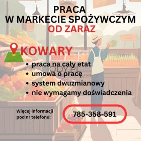 Praca w markecie, Dino Polska S.A. Kowary