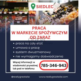 Praca w markecie, Dino Polska S.A. Siedlec