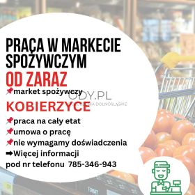 Praca w markecie, Dino Polska S.A. Kobierzyce