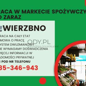 Praca w markecie, Dino Polska S.A. Wierzbno