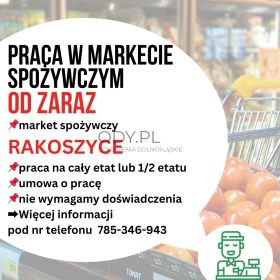 Praca w markecie, Dino Polska S.A. Rakoszyce