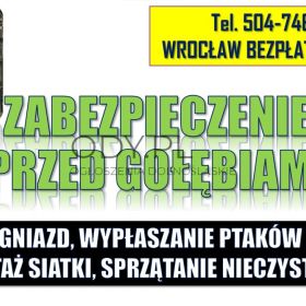 Wypłaszanie, zwalczanie gołębi, tel 504-746-203, usuwanie ptaków, gniazd ptasich