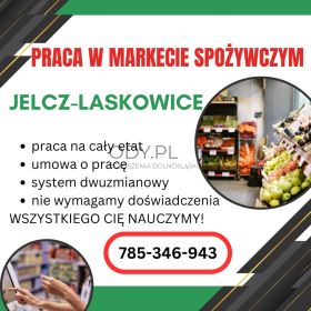 Praca w markecie, Dino Polska S.A. Jelcz-Laskowice