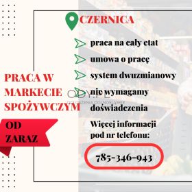 Praca w markecie, Dino Polska S.A. Czernica