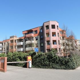  1pok, 22met, okolice Sarniej PIWNICA/2006 (Wrocław)
