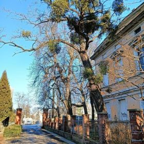 2pok, 84met, Okolice Cukrowej PIWNICA/STRYCH/OGRÓD (Wrocław)