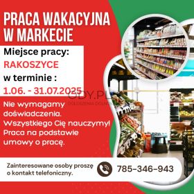 Praca wakacyjna w markecie, Dino Polska S.A. Rakoszyce