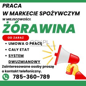 Praca w markecie, Dino Polska S.A. Żórawina