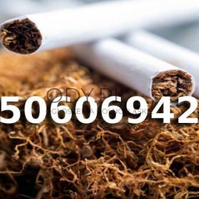 Extra Jakości tani Tytoń na wagę 85 PLN / 1KG