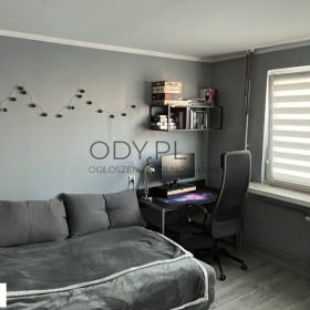  1pok, 19met, okolice Pocztowej PIWNICA (Wrocław)