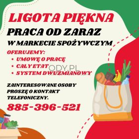 	 Praca w markecie, Dino Polska S.A. Ligota Piękna
