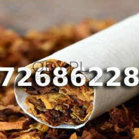 SUPER Tani TYTOŃ na wagę 85 pln / 1KG