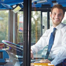 Kierowca autobusu (TS-NL)
