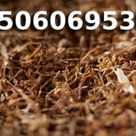 Super Jakości Tani TYTOŃ na wagę 85 PLN / 1KG