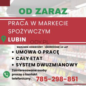 Praca w markecie, Dino Polska S.A. Lubin