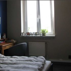 2p, 70m, Okolice Krzyckiej ROZKŁAD/PIWNICA (Wrocław)