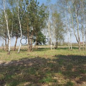 Działka Budowlana (3000 m2) MEDIA (Ozorowice)