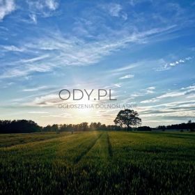 Działka Pod U/P nie uciążliwą w Budziwojowicach