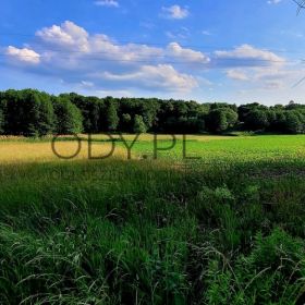 Działka Rolna (3000 m2) Słupice
