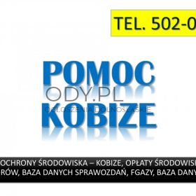 Szkolenie z raportu Kobize, tel. 502-032-782, z wprowadzania raportu do Krajowej bazy