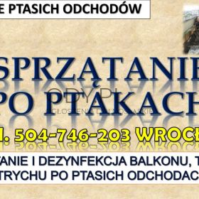 Oczyszczanie z odchodów gołębich, tel. 504-746-203, sprzątanie zabrudzeń po ptakach.