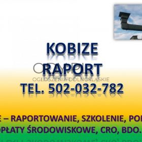 Raportowanie do Kobize cena. tel. 502-032-782. Zgłoszenie do Kobize, obsługa firm.  Z