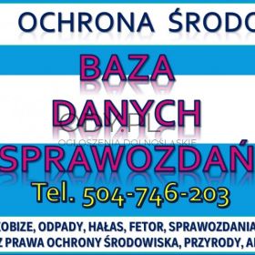 Sprawozdanie do Bazy Danych Sprawozdań, cena tel. 504-746-203. Obsługa firmy., fgazy,