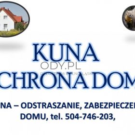 Elektryczna instalacja na kuny, tel. 504-746-203. Zabezpieczenie domu przed kunami.