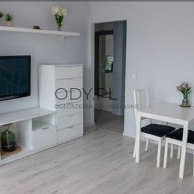 2pok, 50met, Okolice Przybyły BALKON/WINDA/2015 (Wrocław)