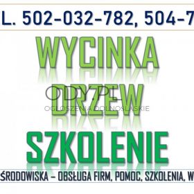 Wycinanie drzew, szkolenie, tel. 504-746-203. Przepisy i decyzje, wydanie zezwolenia