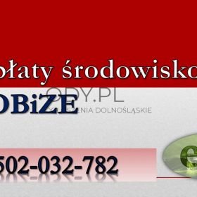 Sprawozdanie z ochrony środowiska, tel. 502-032-782, Cennik za wykaz, obsługa firmy.
