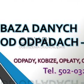 Wykonanie raportu z odpadów do bdo, tel. 504-746-203. Sprawozdanie roczne za odpady.