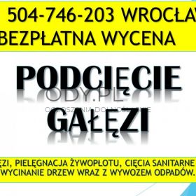 Przycinanie gałęzi, cena tel. 504-746-203, Wrocław,  wycinka, wycinanie drzew,