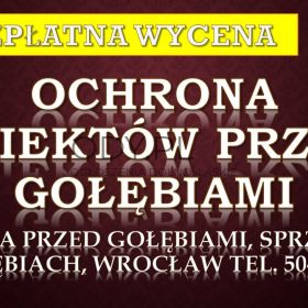 Zabezpieczenie budynku przed gołębiami, tel. 504-746-203. Kolce i siatka na ptaki