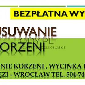 Usuwanie korzeni, cennik , tel. 504-746-203. Wrocław. Pni, pnia drzewa, drzew