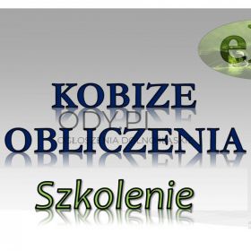 Szkolenie indywidualne BDO, Kobize, tel. 502-032-782 oraz opłaty za środowisko, pomoc