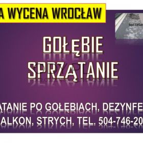 Ile kosztuje sprzątanie po gołębiach tel. 504-746-203, we Wrocławiu ? Balkonu