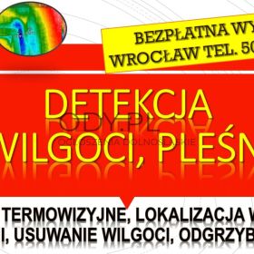 Wykrywanie i przyczyny wilgoci, Wrocław, tel. 504-746-203, cena. Grzyb na ścianie