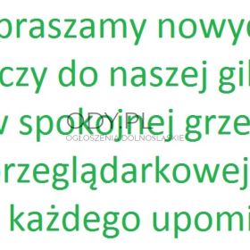 Zapraszamy nowych graczy do gildii w grze przeglądarkowej