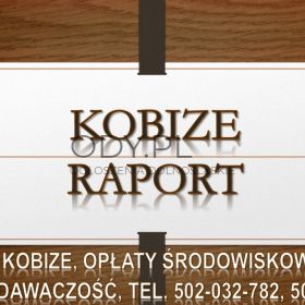 Ile kosztuje raport do Kobize? Tel. 502-032-782, Sprawozdanie do bazy emisji