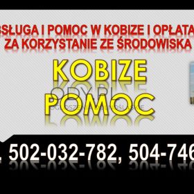 Ile kosztuje szkolenie z indywidualne z Kobize ? tel. 502-032-782, raport do bazy emi