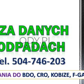 Pomoc zdalna BDO, tel. 504-746-203. Szkolenie, obsługa firm, raport za odpady.