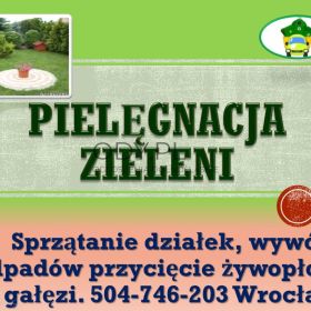 Porządkowanie i pielęgnacja działki, cena, tel. 504-746-203. Wrocław, cennik,Ogrodnik