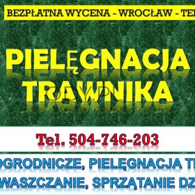 Pielenie działki, cena, tel. 504-746-203. Wrocław. Odchwaszczenie trawnika.