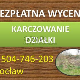 Karczowanie działki, cena, tel. 504-746-203, Wrocław. Koszenie zarośli, trawy