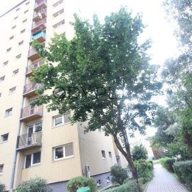 2pok, 47met, okolice Placu Grunwaldzkiego ROZKŁAD (Wrocław)